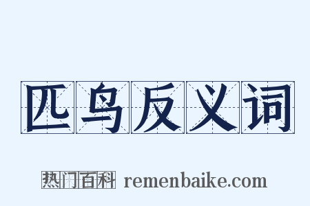 匹鸟反义词是什么意思的图片